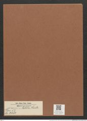 Surirella patella Kuetz. (de-Toni-Nr.: Genus 53, Species 2262) Zeichnungen Sammlung Grunow Mappe 02472 (Herbarium_W_Grunow_drawings_Folder_02472)